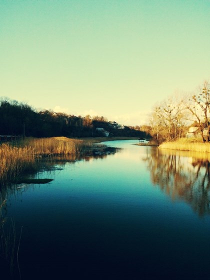 Фотографии: nature