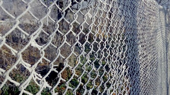 Фотографии: nature