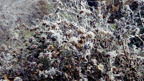 Фотографии: nature