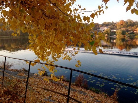 Фотографии: nature